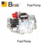 EX300 Fuel pump